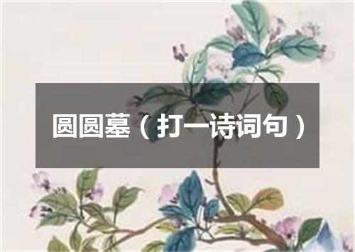 圆圆墓（打一诗词句）