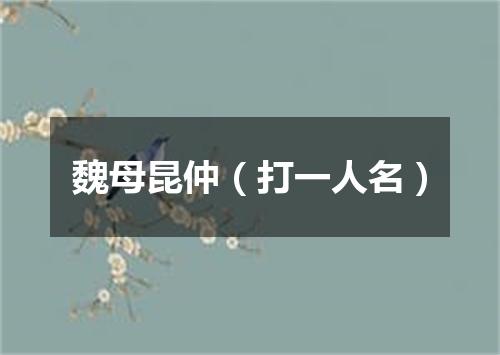 魏母昆仲（打一人名）