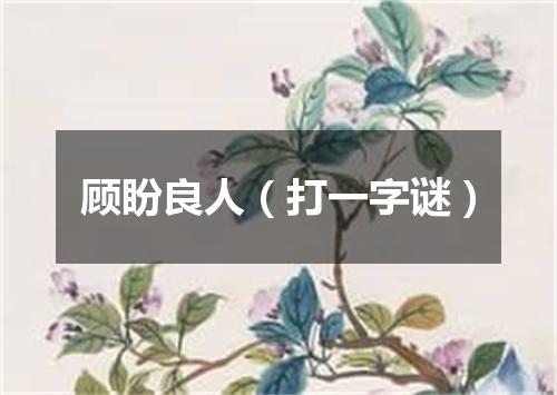 顾盼良人（打一字谜）