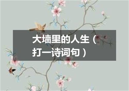 大墙里的人生（打一诗词句）