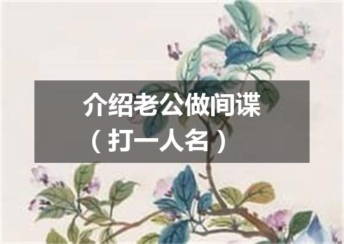 介绍老公做间谍（打一人名）