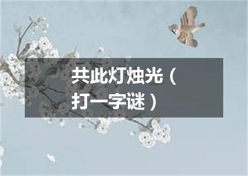 共此灯烛光（打一字谜）