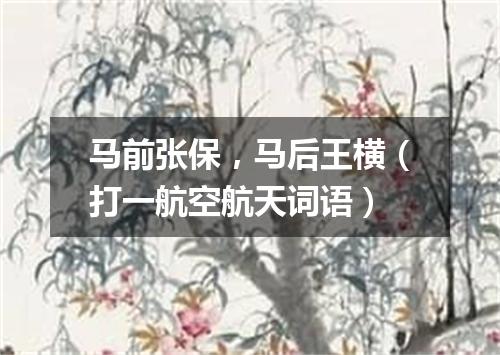 马前张保，马后王横（打一航空航天词语）