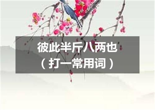 彼此半斤八两也（打一常用词）