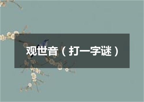 观世音（打一字谜）