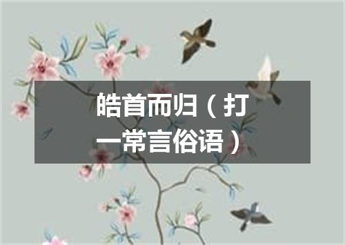 皓首而归（打一常言俗语）