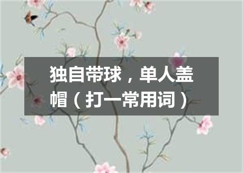 独自带球，单人盖帽（打一常用词）
