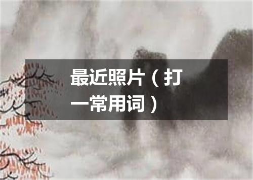 最近照片（打一常用词）