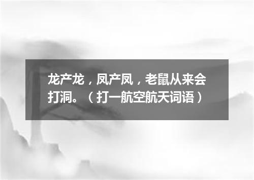 龙产龙，凤产凤，老鼠从来会打洞。（打一航空航天词语）