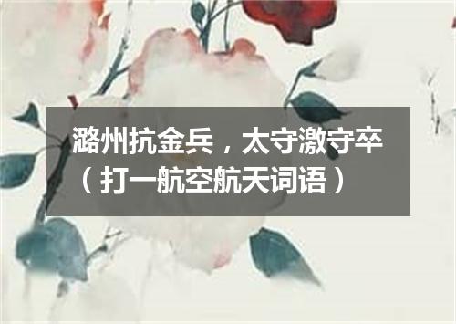 潞州抗金兵，太守激守卒（打一航空航天词语）