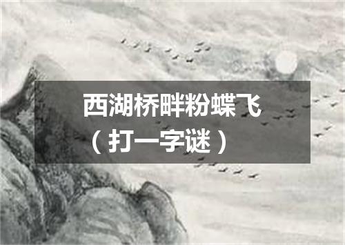 西湖桥畔粉蝶飞（打一字谜）