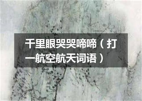 千里眼哭哭啼啼（打一航空航天词语）