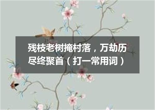 残枝老树掩村落，万劫历尽终聚首（打一常用词）