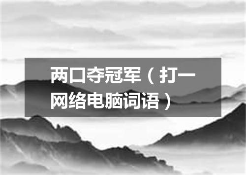 两口夺冠军（打一网络电脑词语）