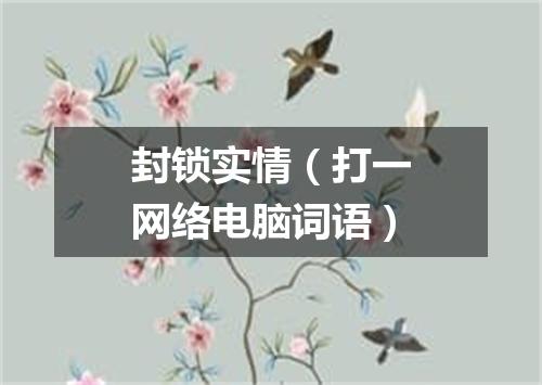 封锁实情（打一网络电脑词语）