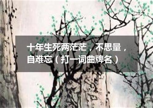 十年生死两茫茫，不思量，自难忘（打一词曲牌名）