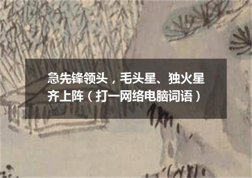 急先锋领头，毛头星、独火星齐上阵（打一网络电脑词语）