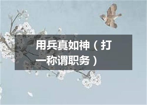 用兵真如神（打一称谓职务）