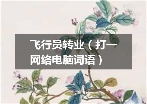 飞行员转业（打一网络电脑词语）