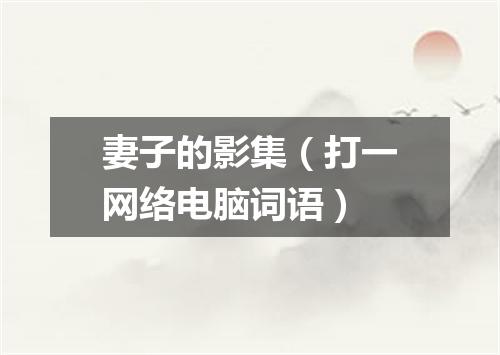 妻子的影集（打一网络电脑词语）