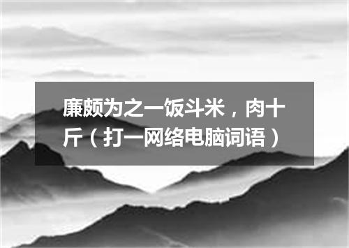 廉颇为之一饭斗米，肉十斤（打一网络电脑词语）