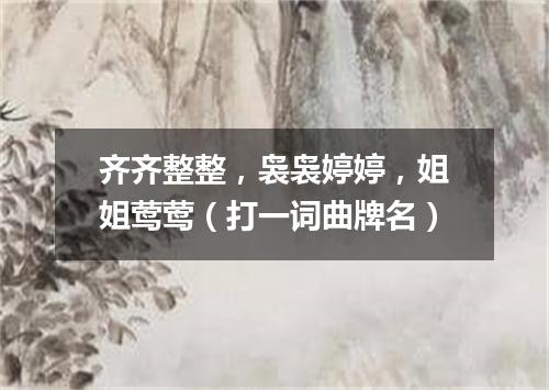 齐齐整整，袅袅婷婷，姐姐莺莺（打一词曲牌名）