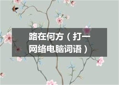 路在何方（打一网络电脑词语）