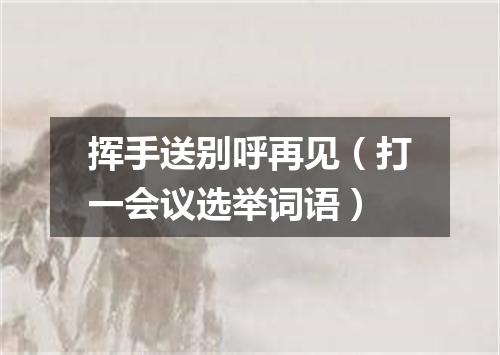 挥手送别呼再见（打一会议选举词语）