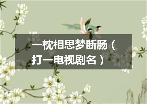 一枕相思梦断肠（打一电视剧名）