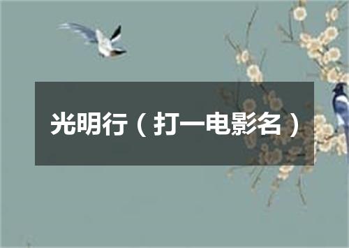 光明行（打一电影名）