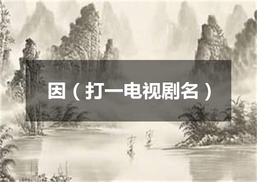 因（打一电视剧名）