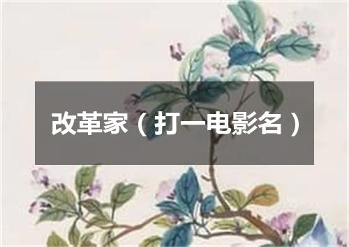 改革家（打一电影名）