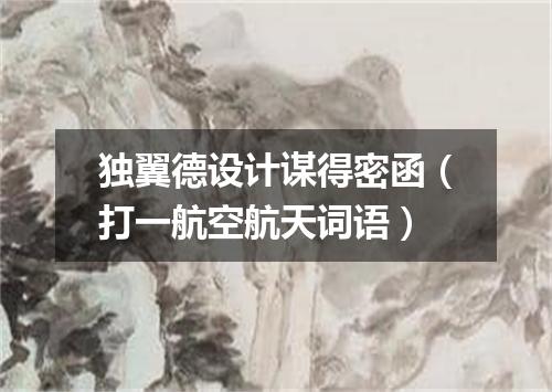 独翼德设计谋得密函（打一航空航天词语）