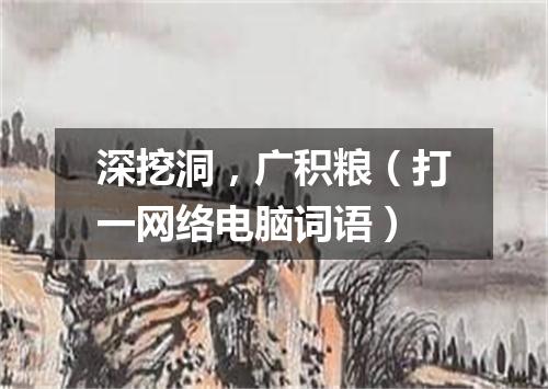 深挖洞，广积粮（打一网络电脑词语）