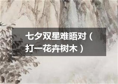 七夕双星难晤对（打一花卉树木）