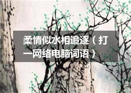 柔情似水相追逐（打一网络电脑词语）