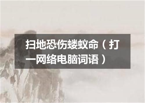 扫地恐伤蝼蚁命（打一网络电脑词语）