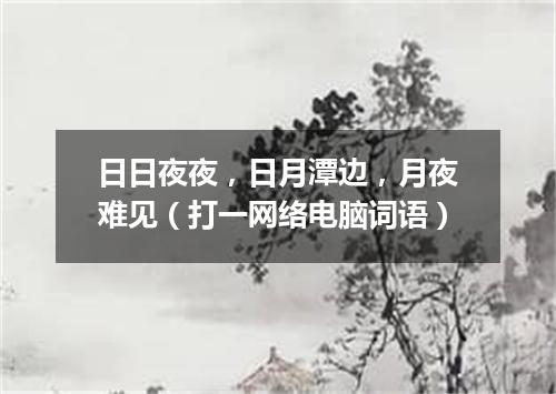 日日夜夜，日月潭边，月夜难见（打一网络电脑词语）