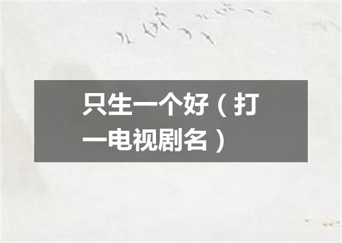 只生一个好（打一电视剧名）