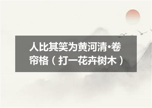 人比其笑为黄河清·卷帘格（打一花卉树木）