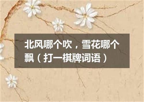 北风哪个吹，雪花哪个飘（打一棋牌词语）