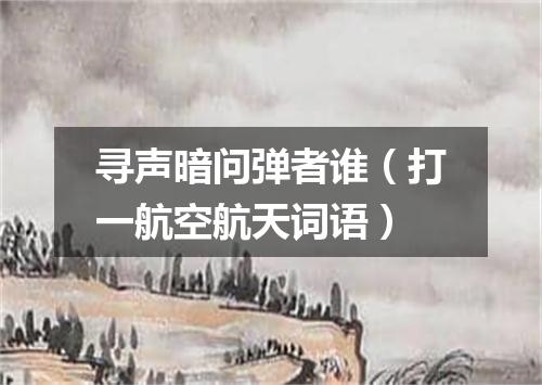 寻声暗问弹者谁（打一航空航天词语）