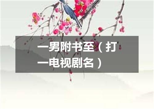 一男附书至（打一电视剧名）
