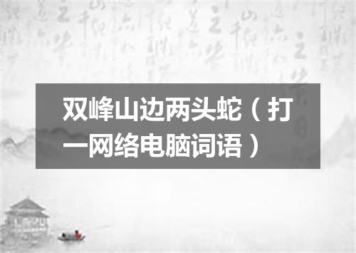 双峰山边两头蛇（打一网络电脑词语）