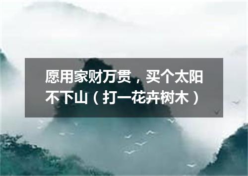 愿用家财万贯，买个太阳不下山（打一花卉树木）