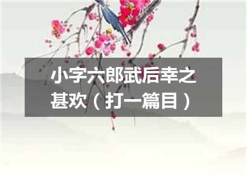 小字六郎武后幸之甚欢（打一篇目）