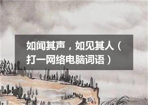 如闻其声，如见其人（打一网络电脑词语）