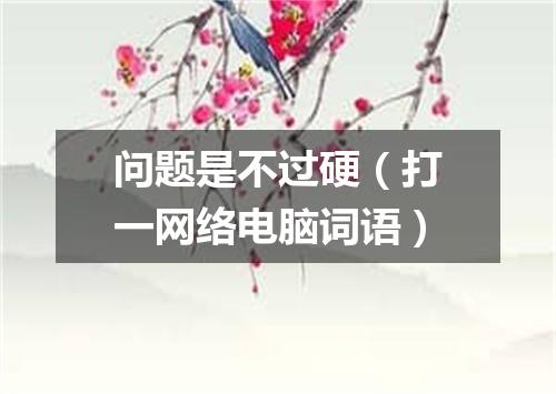 问题是不过硬（打一网络电脑词语）