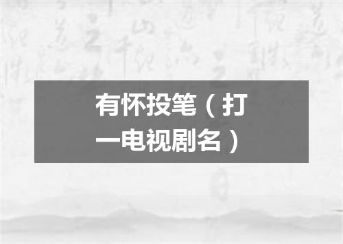 有怀投笔（打一电视剧名）