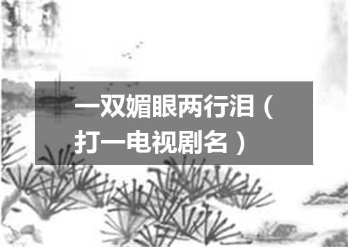 一双媚眼两行泪（打一电视剧名）